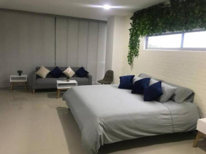 RLC201- Comfortable apartment in Coffee Region